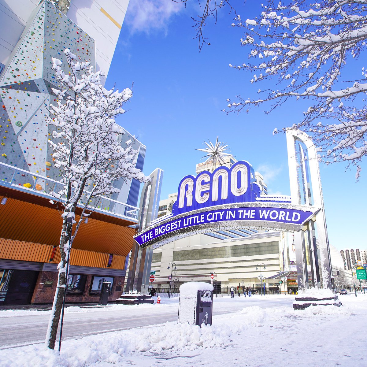renotahoe's tweet photo. Snowy Presidents Day in #RenoTahoe 🇺🇸 https://t.co/xFScqpdqUt