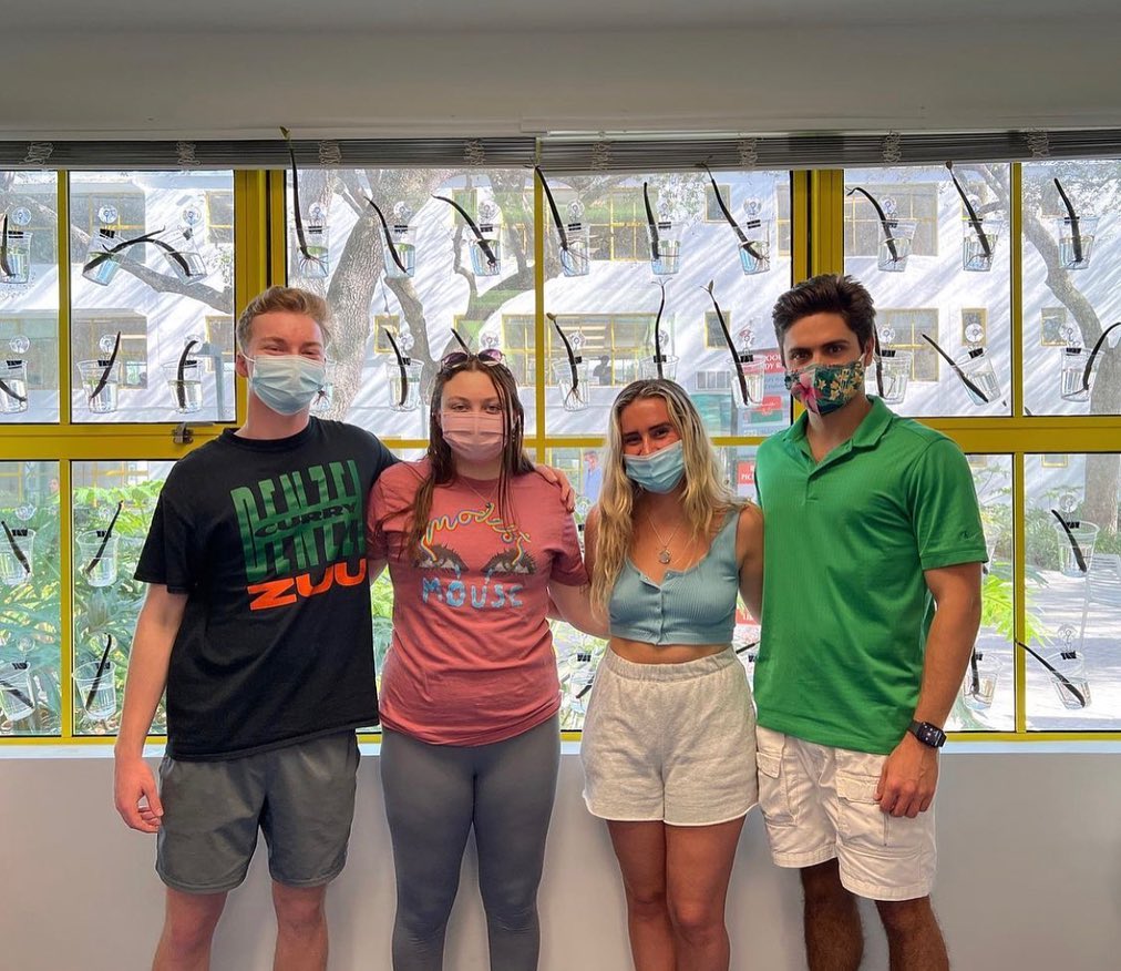 UM_SoA's tweet photo. And just like that, mangroves are back at @univmiami!  🌱

Take a stroll by #u_soa to check out our latest Plan(T) installation and if you want your own mangrove. -- @xcortada Foundation

#PlantOurFuture #u_soa #umiami https://t.co/ia4DlOnJzn