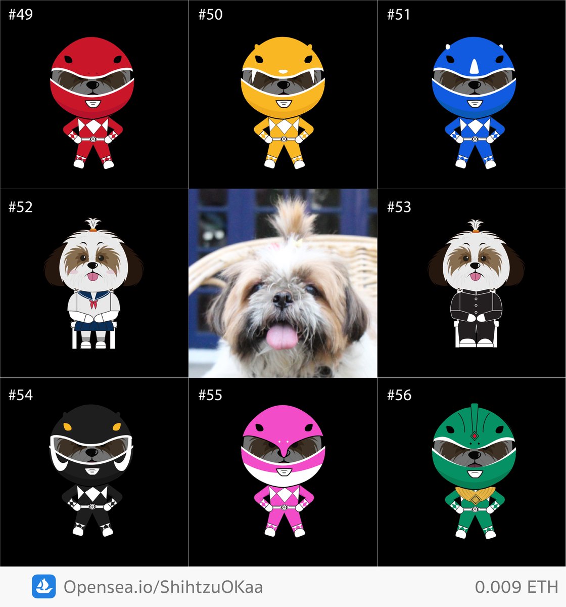 Shih tzu O kaa (@KorraponK) / Posts / X