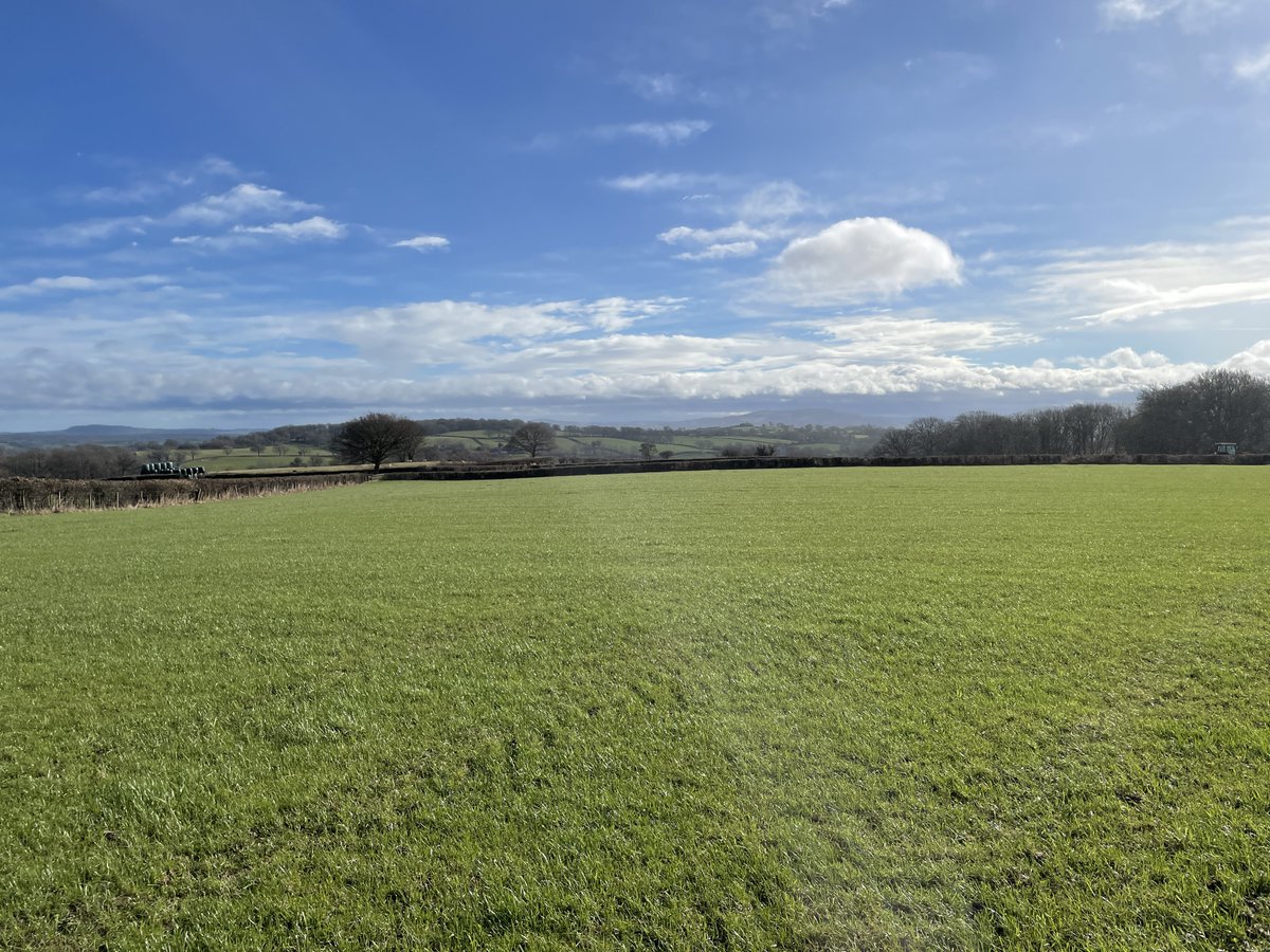 155.45 ACRES AVAILABLE FOR GRAZING/MOWING BY INFORMAL TENDER
NEW HOUSE FARM, NEWTON ST MARGARETS, HR2 0QR
Tender deadline: 1PM FRIDAY 11TH MARCH 2022
Further Information: Ellie Watkins 07495 006808 or ellie.watkins@ruraladvisor.co.uk