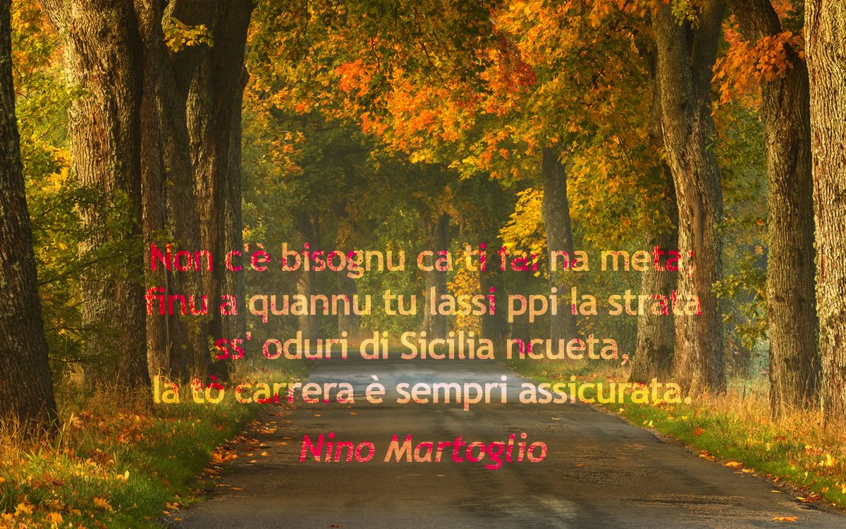 ProjectNapizia's tweet photo. https://t.co/V3UyxAah2U