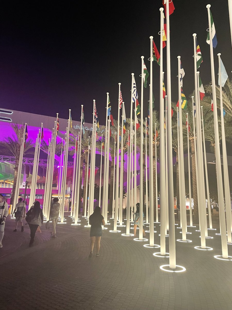 The sun is down, but the lights are bright @expo2020dubai! We hope you’re as excited as we are to bring the World Expo to Minnesota in 2027 with the official bid on behalf of the United States! #expo2027USA #expo #worldexpo #worldsfairs #healthypeople #world