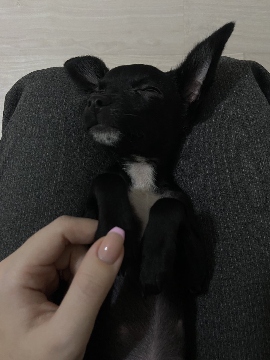 suffering_ward's tweet photo. Жизнь теперь крутится вокруг неё 🖤 https://t.co/fIKEugh8Uh