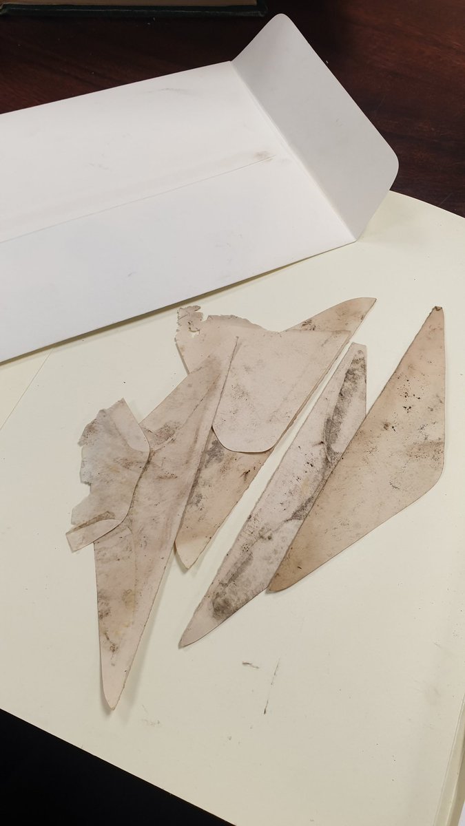 OysterHiatus's tweet photo. Look, I know the decision to throw away something "archival" is hard, but I can assure you there is ABSOLUTELY NO REASON to keep a folder of blank, mouldy, envelope tabs.
I don't care who may have licked them
#archivistproblems https://t.co/fli216heSz