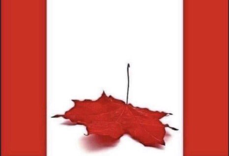 itsTim_eh's tweet photo. @TheRealKeean Imagine.

Canada laughed for weeks at LPC’s legacy ceremonial figurehead &amp; mascot’s remarks about #juiceboxwater... &amp; now here we are.

#BecauseIts2022

#TrudeauIsDelusional

#LiberalsFailedCanada https://t.co/e2PjcCBFZ2