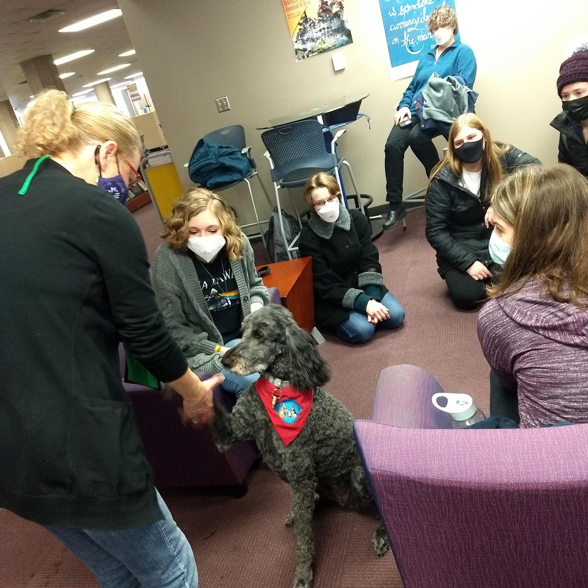 uwec_library's tweet image. 🐾 Thanks for visiting us, Madison the Goldendoodle!
💟 McIntyre Library Therapy Dogs will be here through Feb 25th. See the full schedule: fb.me/e/4zFUSSNd5

#UWEC #TherapyDogs #McIntyreLibrary
