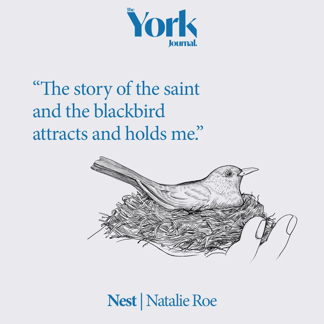 An extract from Nest by Natalie Roe.
Continue the story in The York Journal.

Order today.
buff.ly/3HFPKqj

#amreading #BookLovers #Bibliophile #BookAddict #Books #writerscommunity