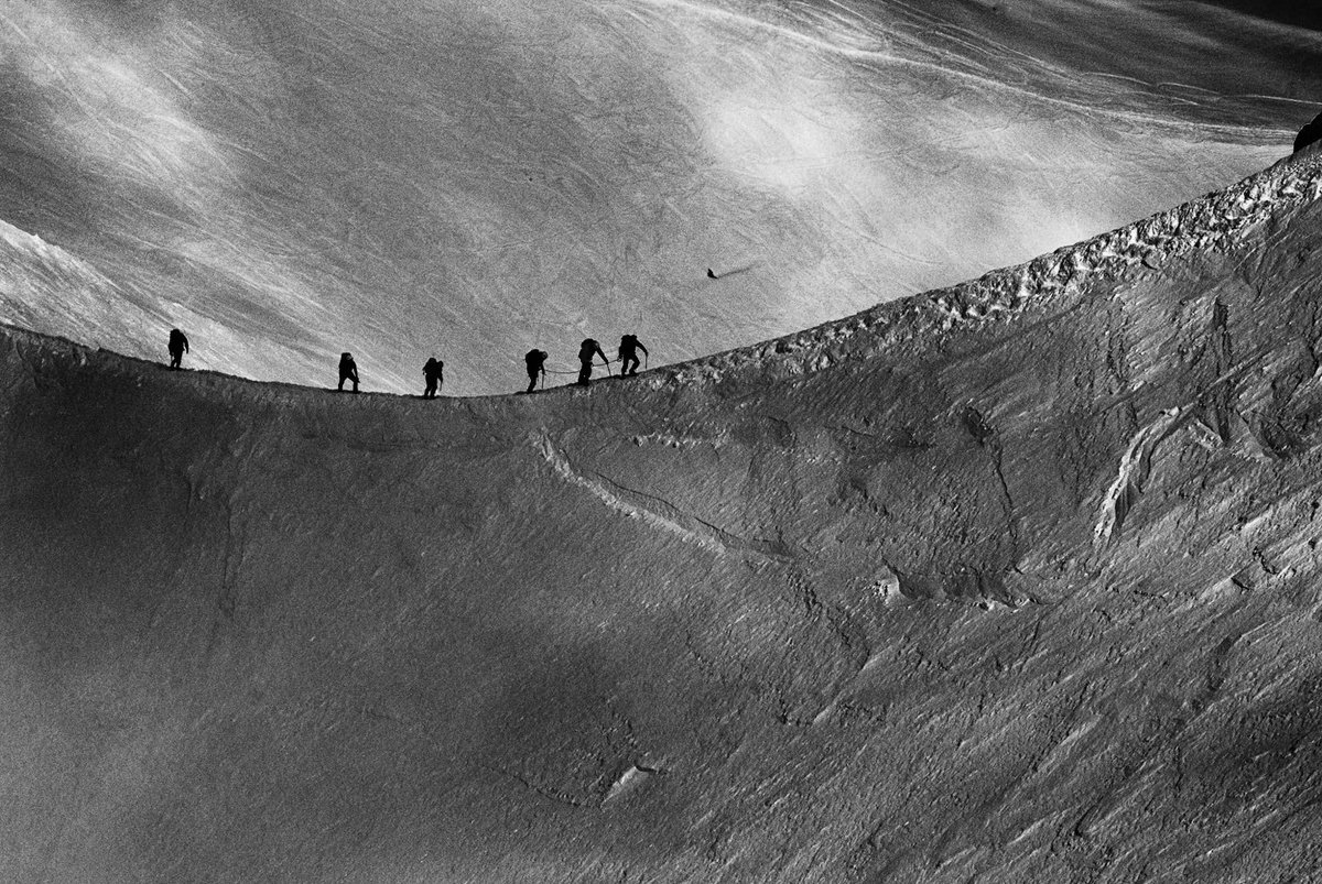 wipplay's tweet image. ⌛️ Derniers jours pour marcher ensemble vers le #ConcoursPhoto #TousPourUn 👉🏻 buff.ly/3s11KfC

📸 ©Morfeuh ©Julia Gat ©Auclairde ©Chrblack
#VuSurWipplay #TalentsWopplay