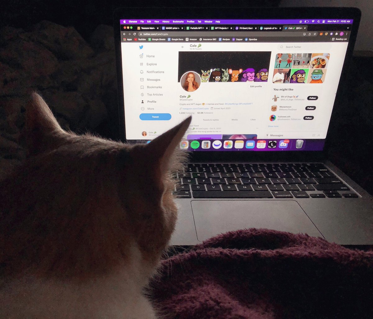 Cale 🥬 tweet media