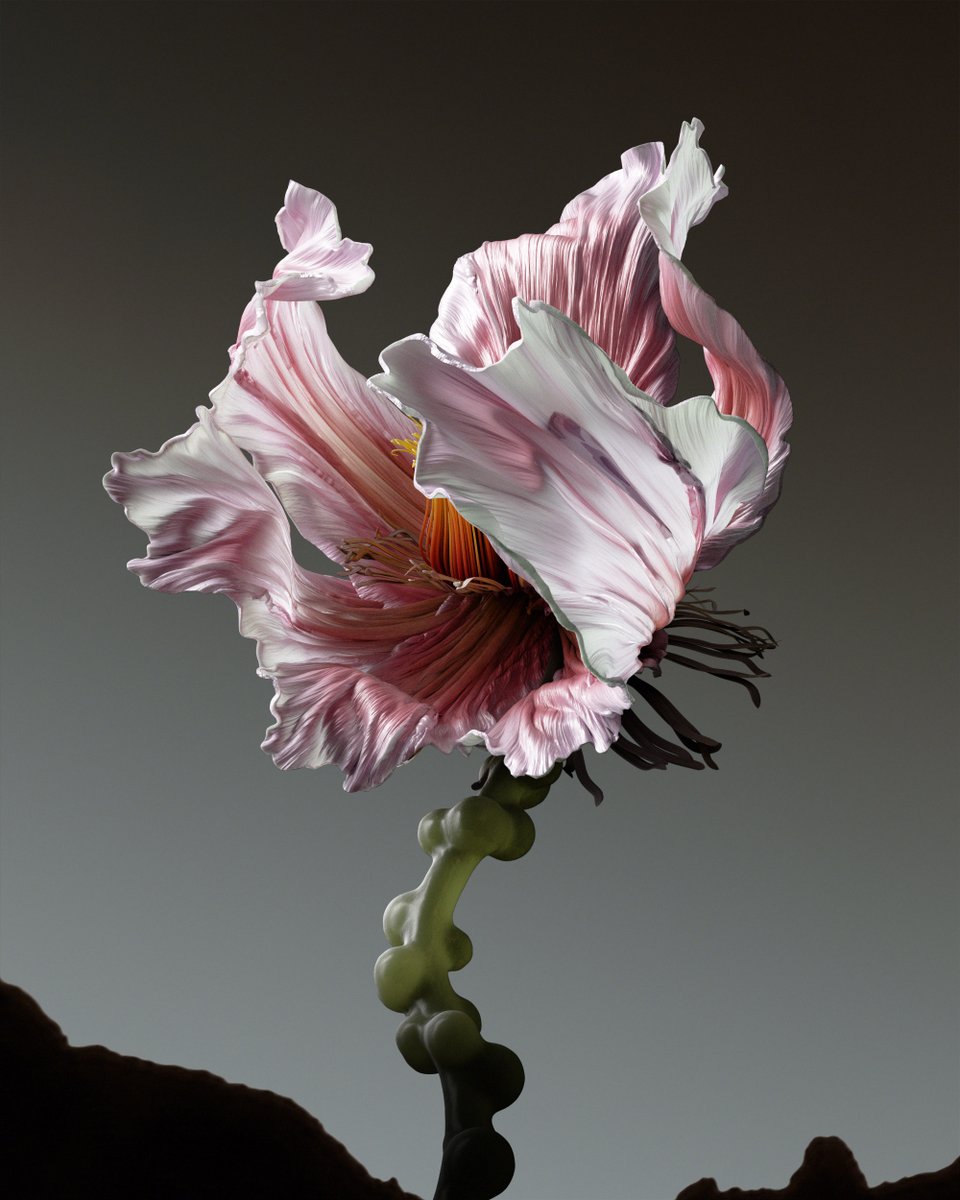 ondrejzunka's tweet photo. This one is a little scary to me. It's also hiding what's inside the petals. What does it smell like? https://t.co/INTVHnvvo5