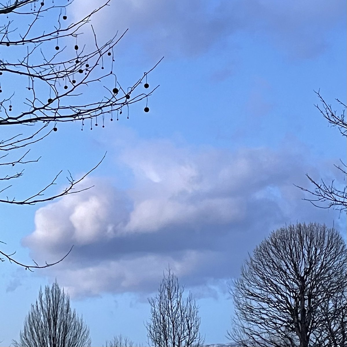 pentictonpost's tweet photo. Okanagan Sky #February2022 #SpringIsComing https://t.co/vMNT50GApU