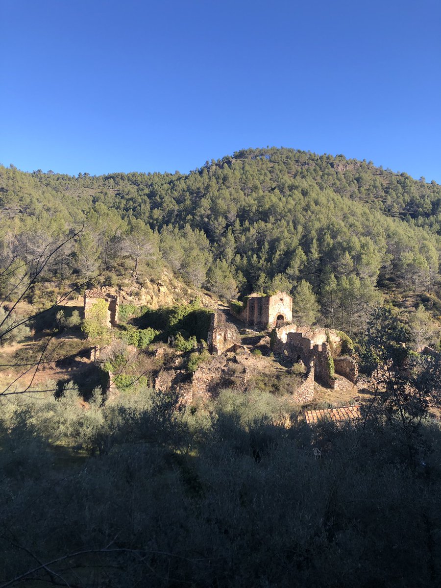 jaumepl's tweet photo. Ahir vam estar a la jornada de #voluntariatambiental @ConnectaNatura al seu projecte de #custodiadelterritori a #xinquer Meravella! #arboretum #alimentaciósaludable #riuveo 😍 https://t.co/96dAsPb6jV