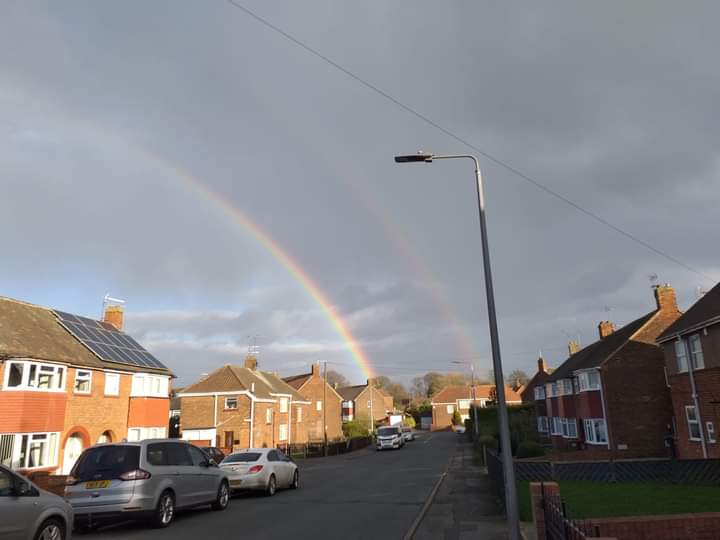 Baby Rainbow Memorial Gardens 🌈 tweet media