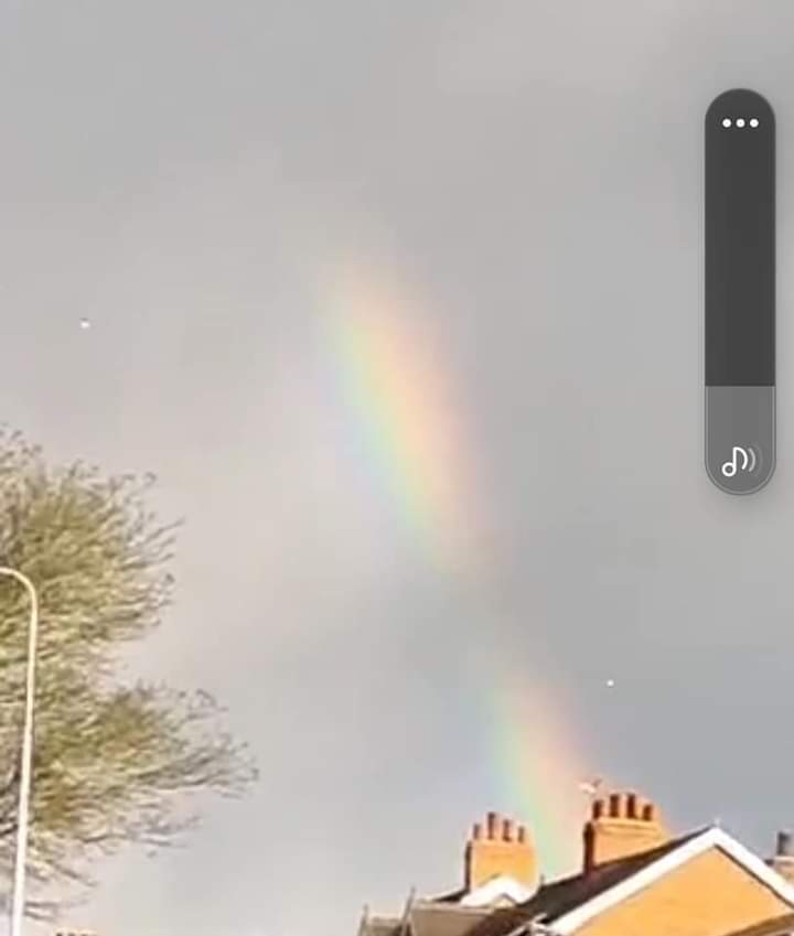 Baby Rainbow Memorial Gardens 🌈 tweet media