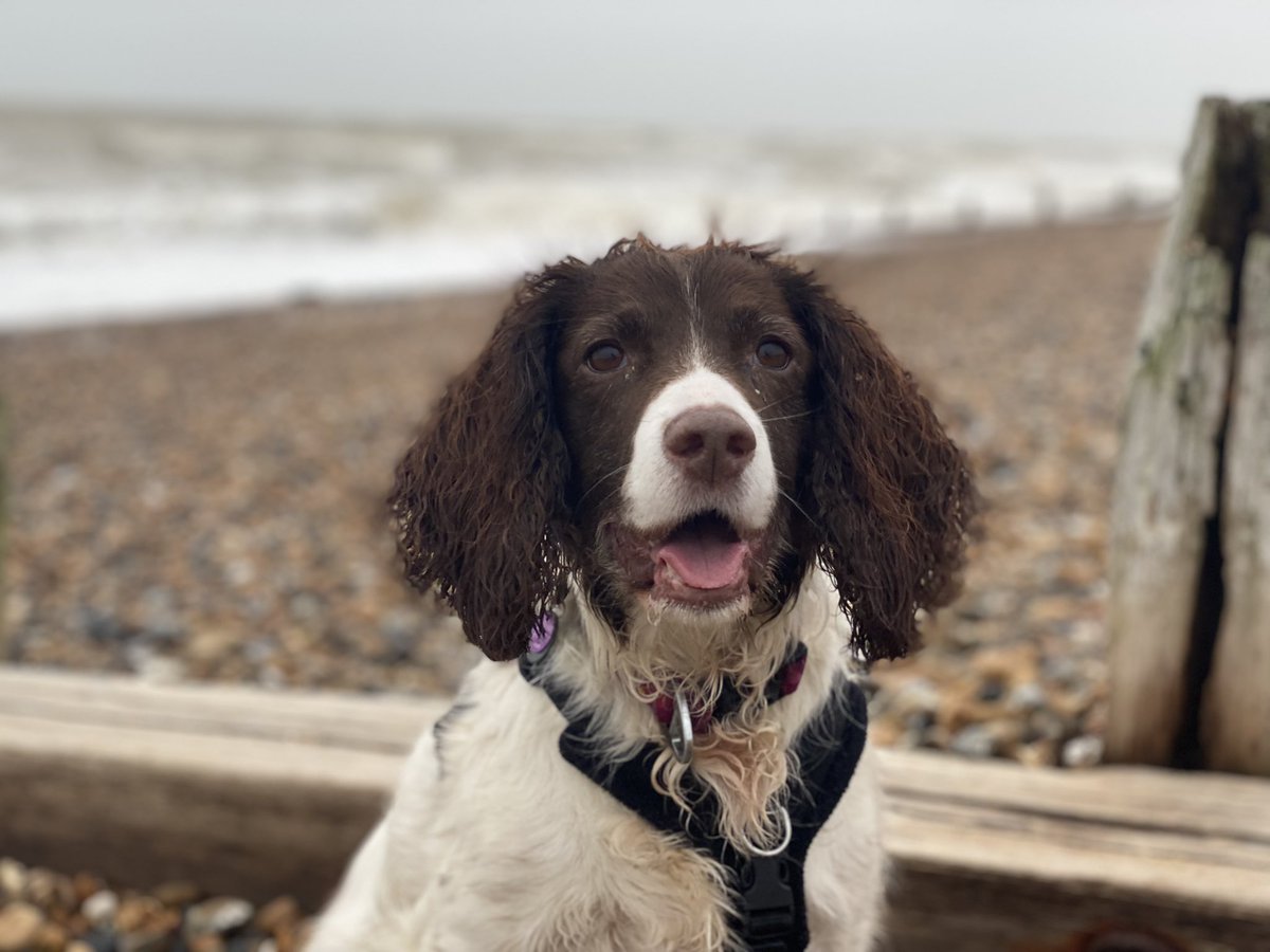 Today is my birthday. I am 9 years young ❤️ #birthdaygirl