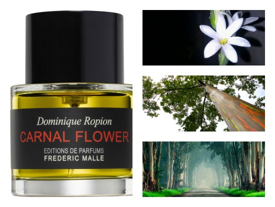 Carnal Flower
٦٩٠ محاوله قام بها الماستر بارفيومر Dominique Ropion، لإخراج هذه الزجاجه المليئه بكل ما يبهج القلب والروح،من الصعب ان تجد عطر في مثل هذا الاداء والجمال، قنبله من الازهار يقودها مسك الروم بلا شك والياسمين🌼يتبع

#رابطة_عشاق_العطور
<a href="/otor200/">متجر عاشق العطور</a>