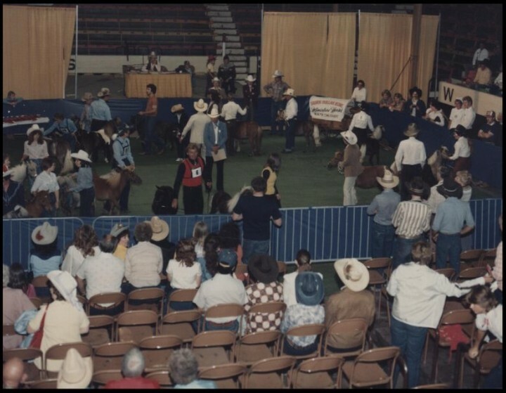 Competitors in the show ring at the miniature horse show (CU131398). Courtesy of Collection, Libraries and Cultural Resources Digital Collections, University of Calgary
#calgarystampede #stampedeag #miniaturehorseshow #miniaturehorses instagr.am/p/CaPzelzhpb_/