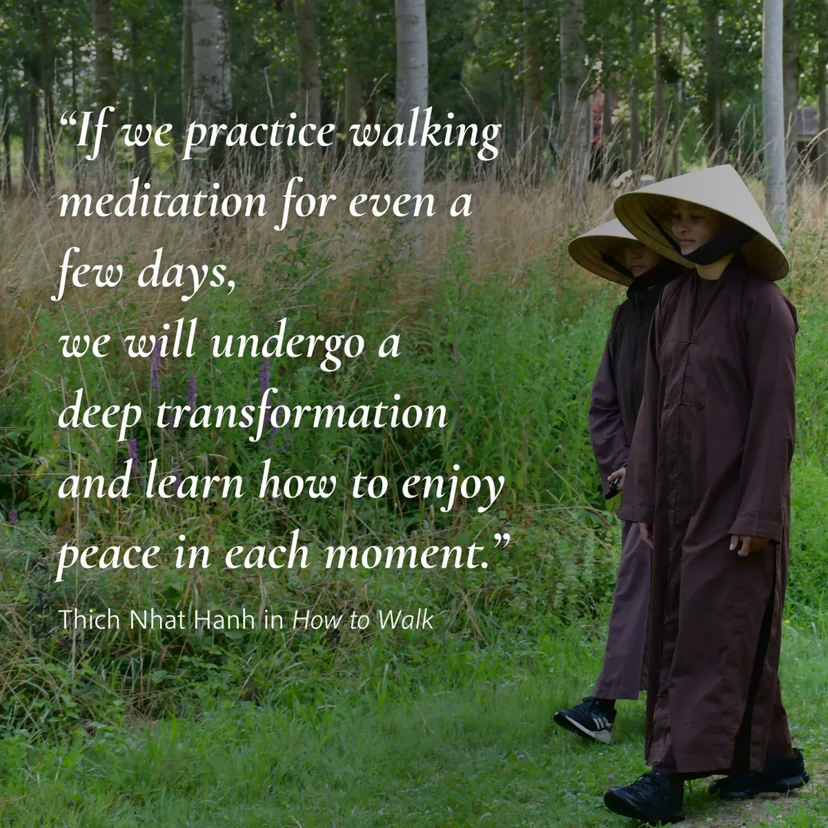 thichnhathanh's tweet image. "Why not step in the direction of life, which is in the present moment? If we practice walking meditation for even a few days, we will undergo a deep transformation and learn how to enjoy peace in each moment."

Thich Nhat Hanh in “How to Walk” (Parallax Press 2015)