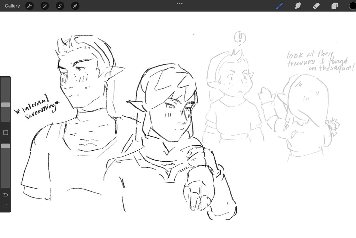 Ehehe pipit and link