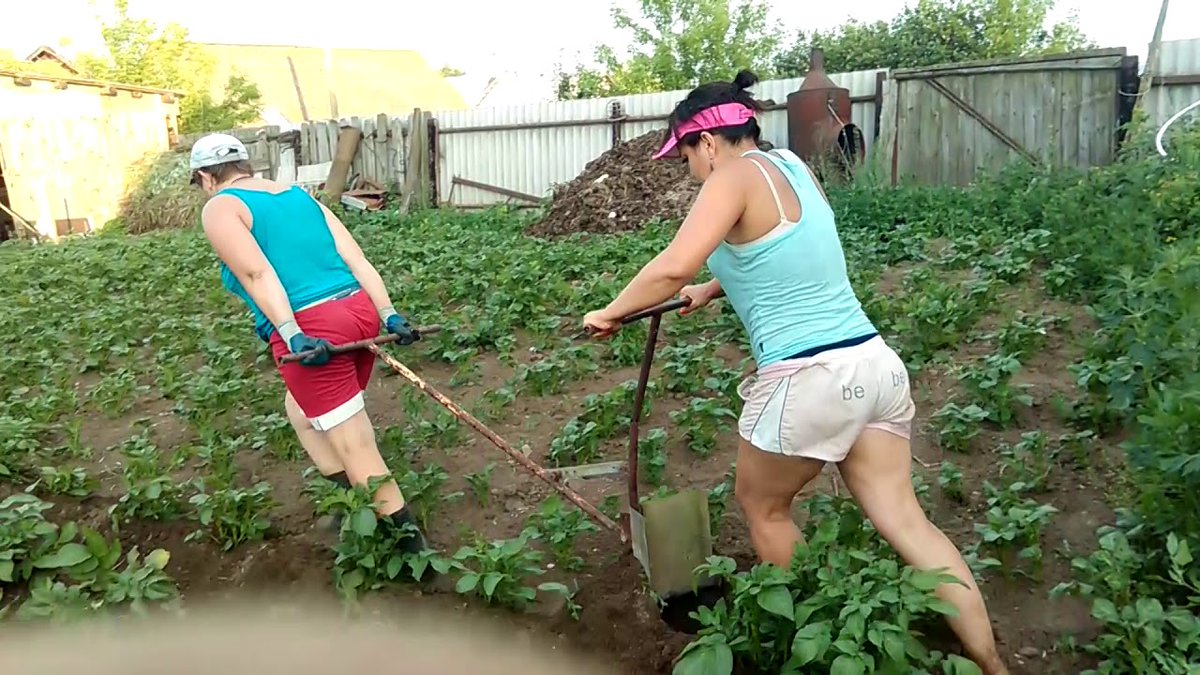 Мамы на даче летом. Рассказы изменила на даче. Рассказы изменила на даче. Красивые девушки на даче. Русские жены изменяют.
