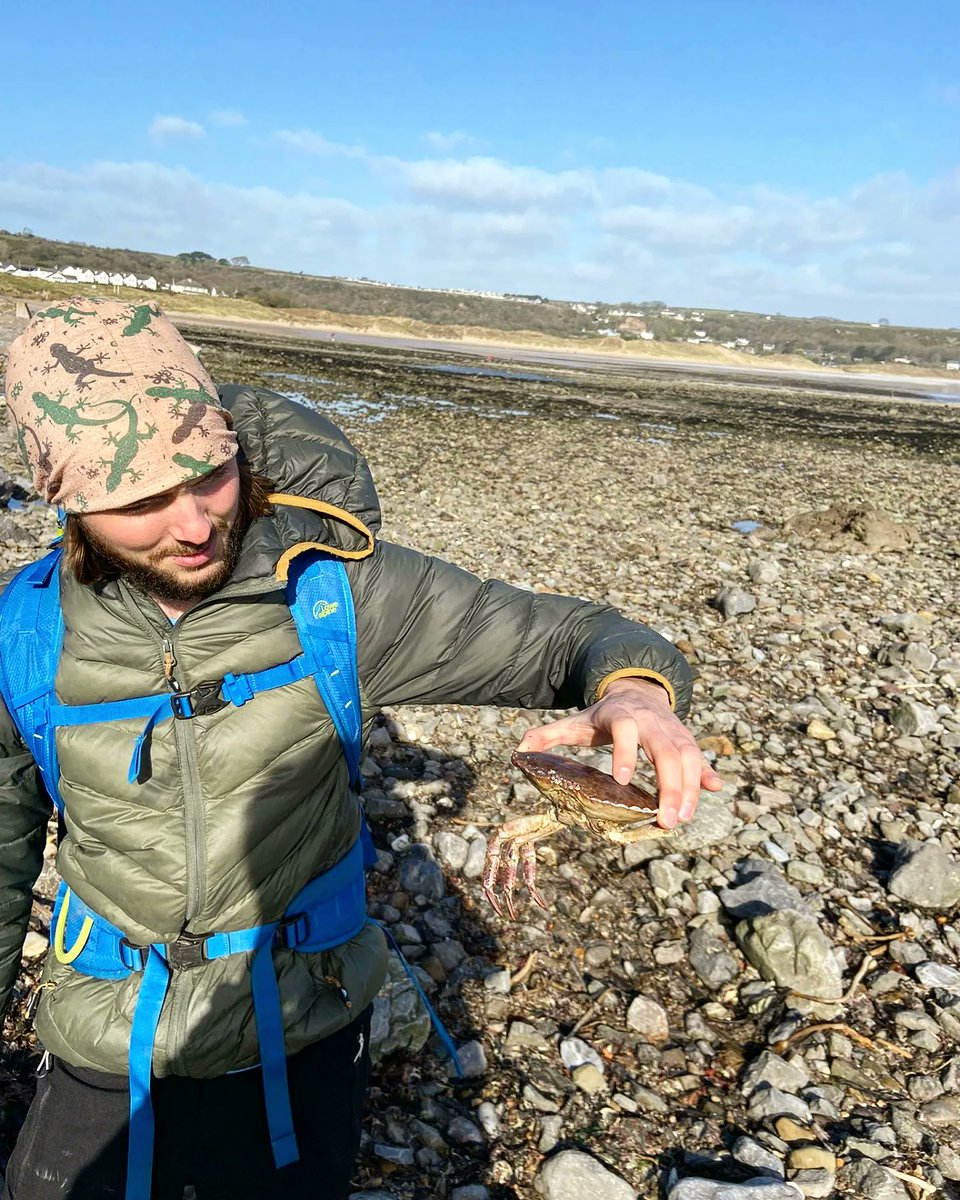 goweractivity's tweet image. Coastal Scrambling is one of our favourite activities. Today the team went out to check on some of our routes. Who's been out with us before and who's coming with us soon?

#climbing #scrambling #seashoresafari #rockpooling #bouldering #itsgowertime