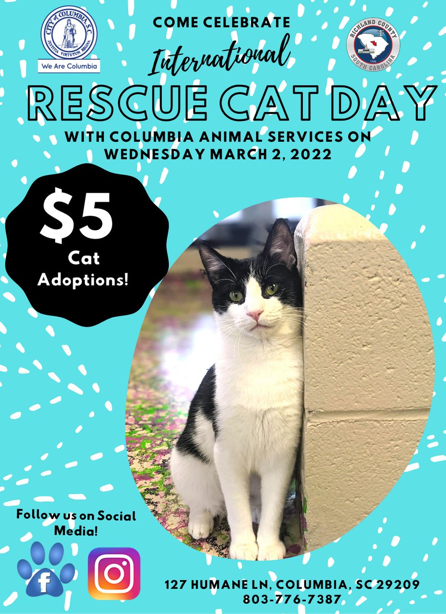 Inbox: @CityofColumbia Animal Services are having a $5 special on cat adoptions next Wed, March 2, for International Rescue Cat Day. https://t.co/LfMNPJ1fmm