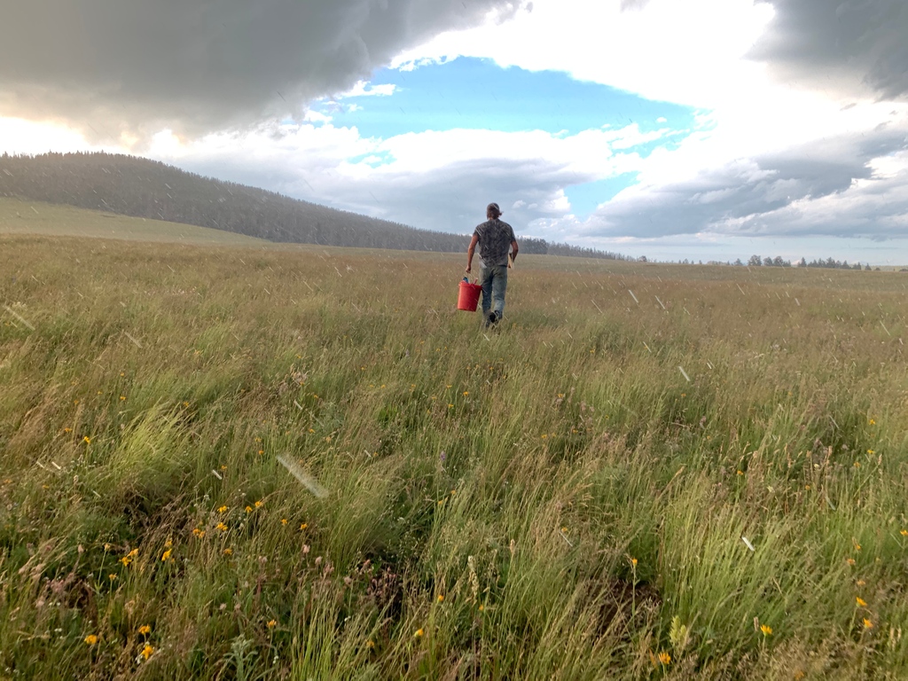 wsemt's tweet photo. In years of low moisture, it becomes paramount that we utilize every drop of rain we get. One way we can do this is by caring for our soil and building structure and life below ground that can increase water absorption.
#soilhealth #soilsponge https://t.co/C8JtIfKTeX