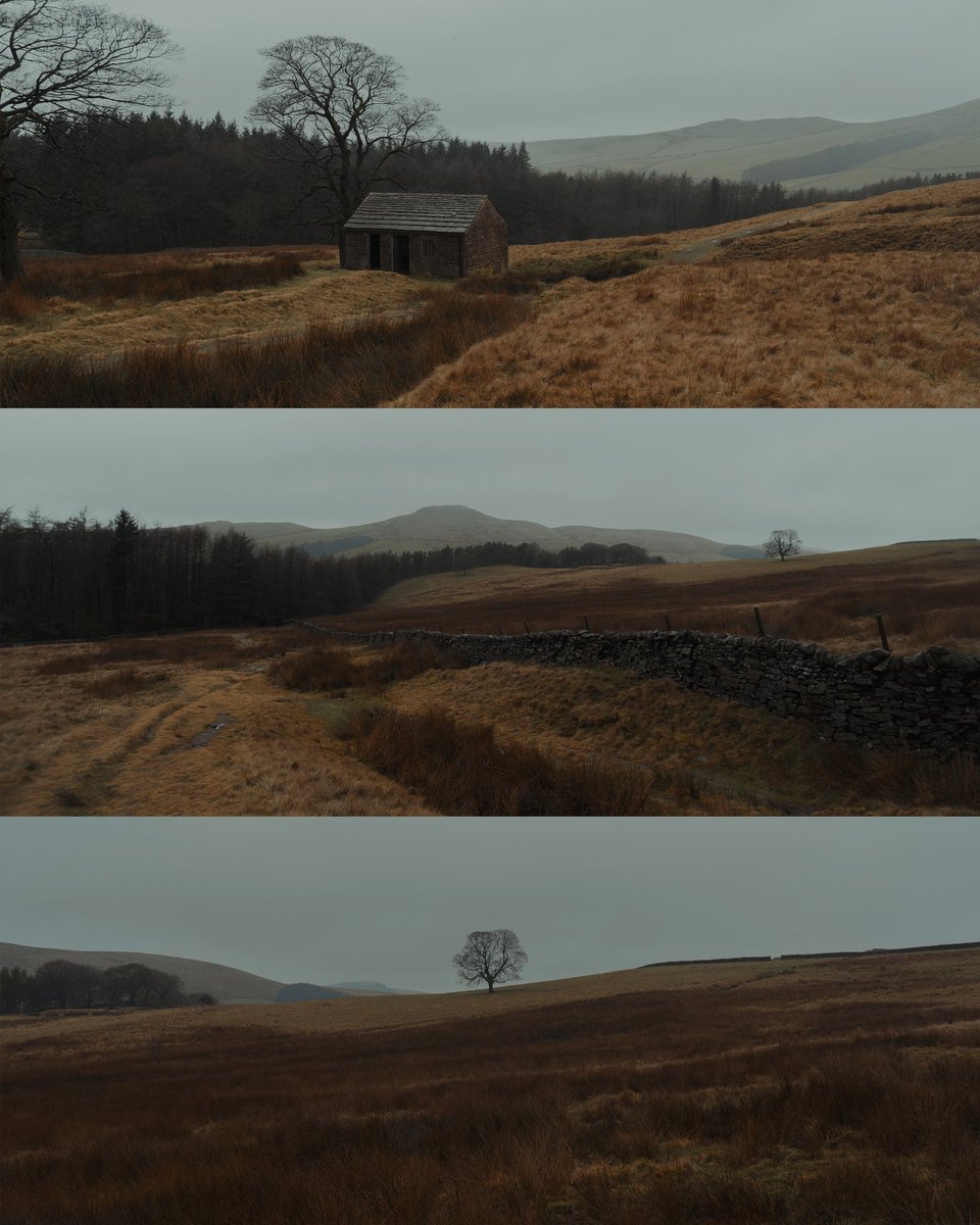 Wildboarclough Moments 1, Peak District.
#NFTCommunity #nftphotography #nft