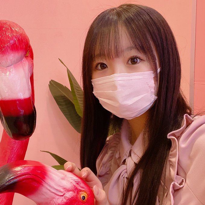 なゆこてゃんのTwitter画像9