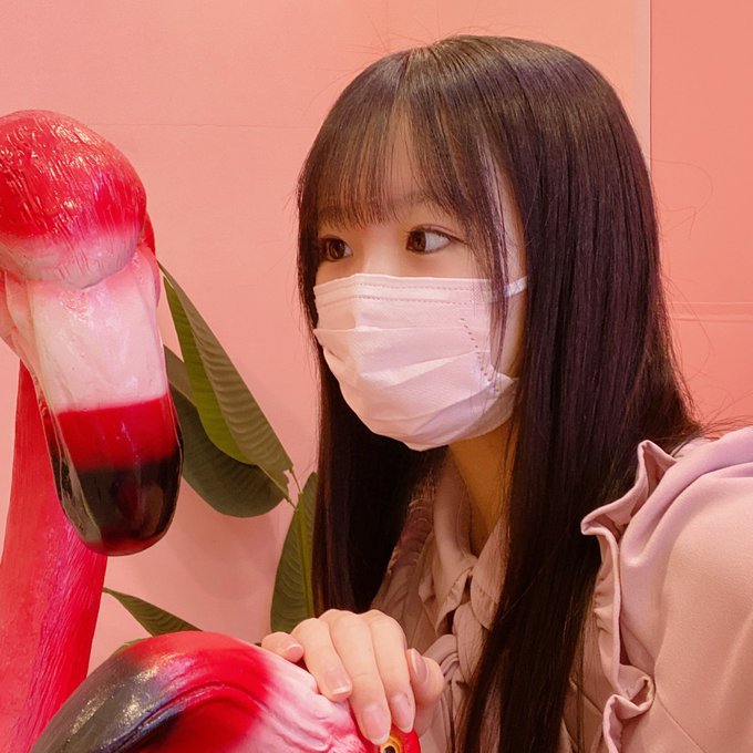 なゆこてゃんのTwitter画像8