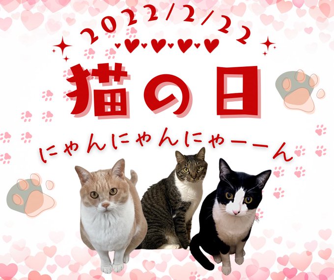 猫の面白い 珍しい名前をご紹介 100匹以上から激選 そんな発想はなかったと感嘆しました ネコサマライフ