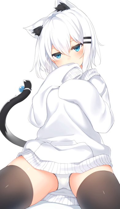 #猫の日 