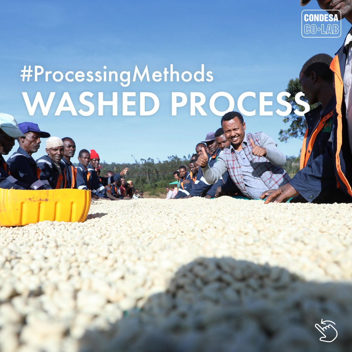 CondesaCoLab's tweet photo. Get to know the #ProcessingMethods: the washed process!
The ‘washed process’, sometimes know as ‘wet process´, is found in many coffee-growing countries around the world, including parts of Africa and most of Central and South America. https://t.co/631W0QOtUL