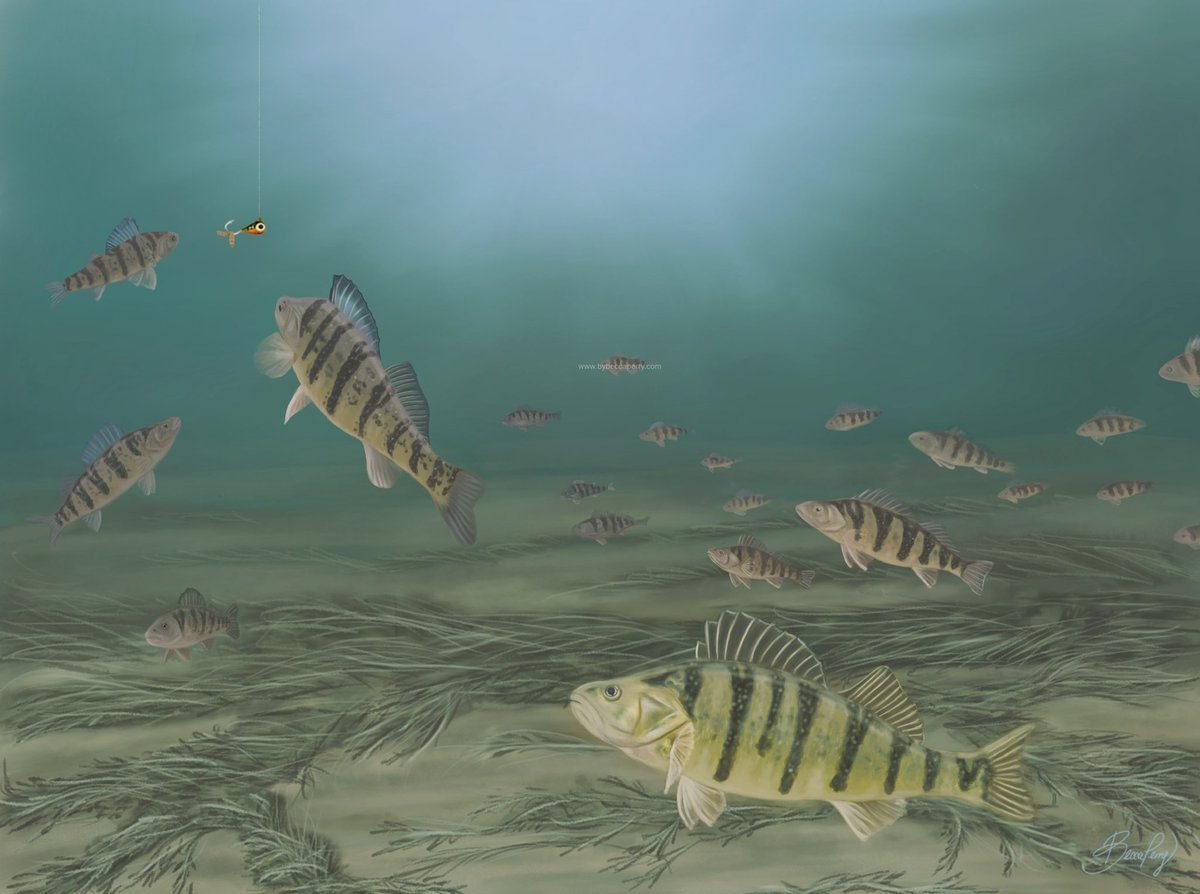 New print! “Under the ice”. Available now on my website! Use FAMILY10 for 10% off all week 😊 Many thanks to <a href="/Johnwhy42733542/">Johnwhyte</a> for the reference.