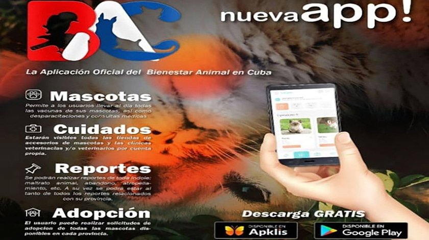 Radio COCO tweet media