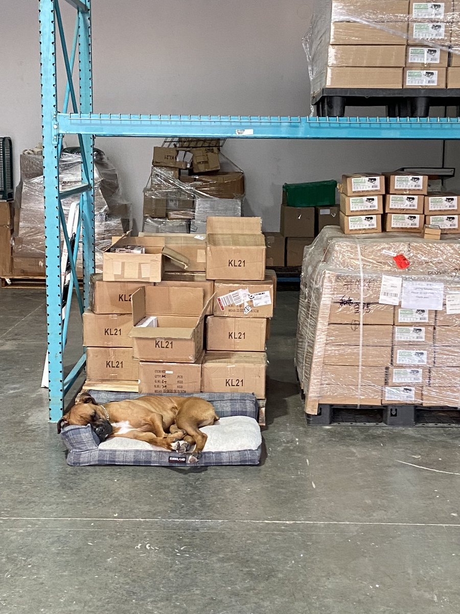 NewLiteProducts's tweet image. keep catching the new employee laying down on the job

#qloc #wireconnectors #mansbestfriend #workdog #dogsatwork #landscape #landscapelighting #connectionsthatlast