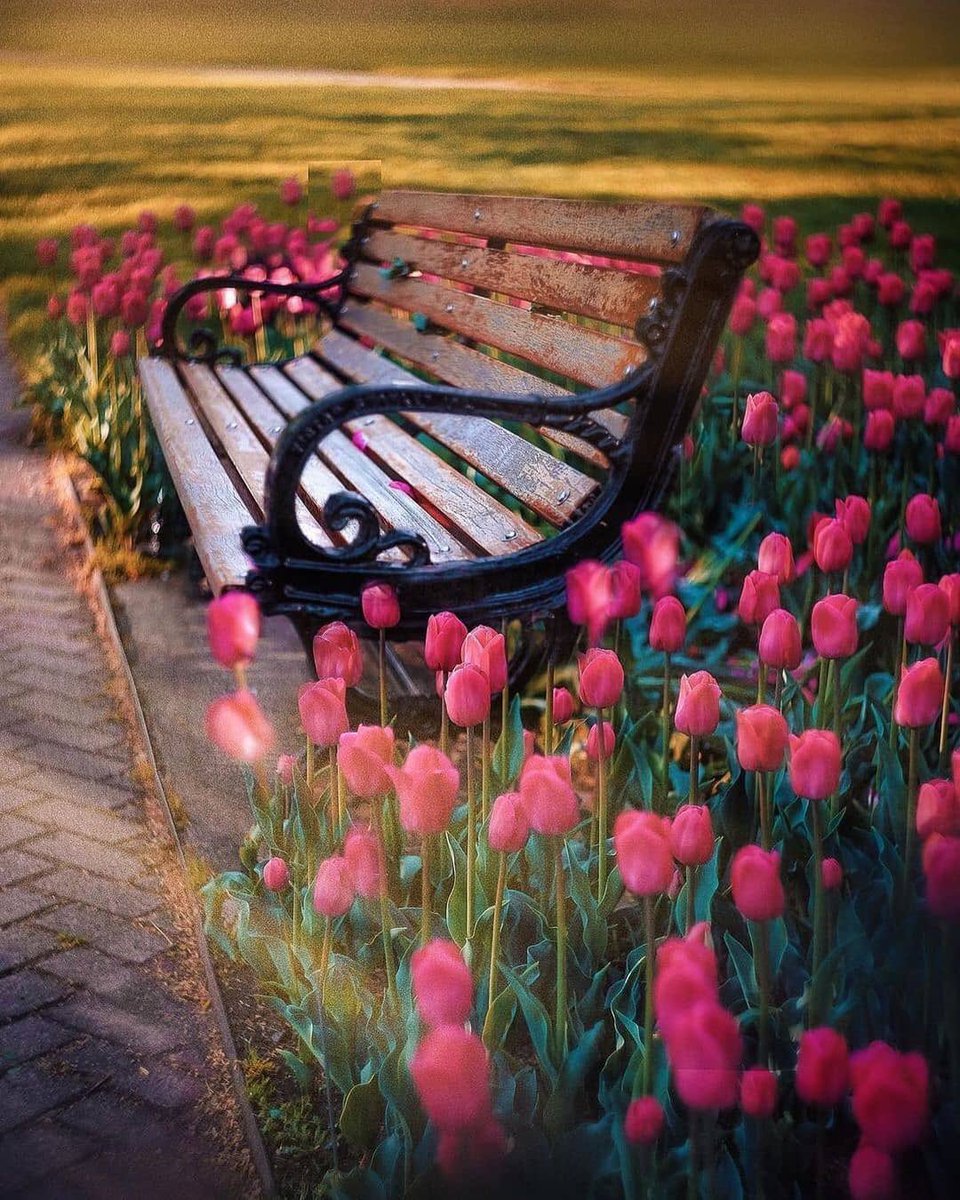 nature_forum's tweet photo. Take a seat https://t.co/A0ittG13Tq