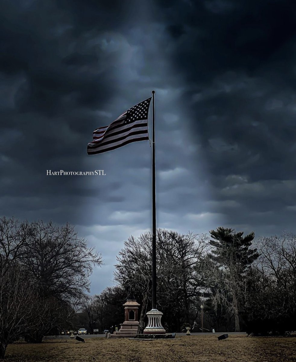 WaRecoveryHelp's tweet image. President’s Day 2022
@hartphotographystl