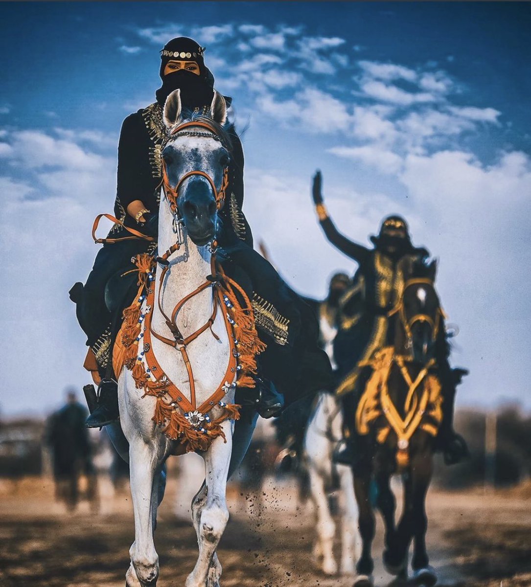 سيور الحربي tweet media