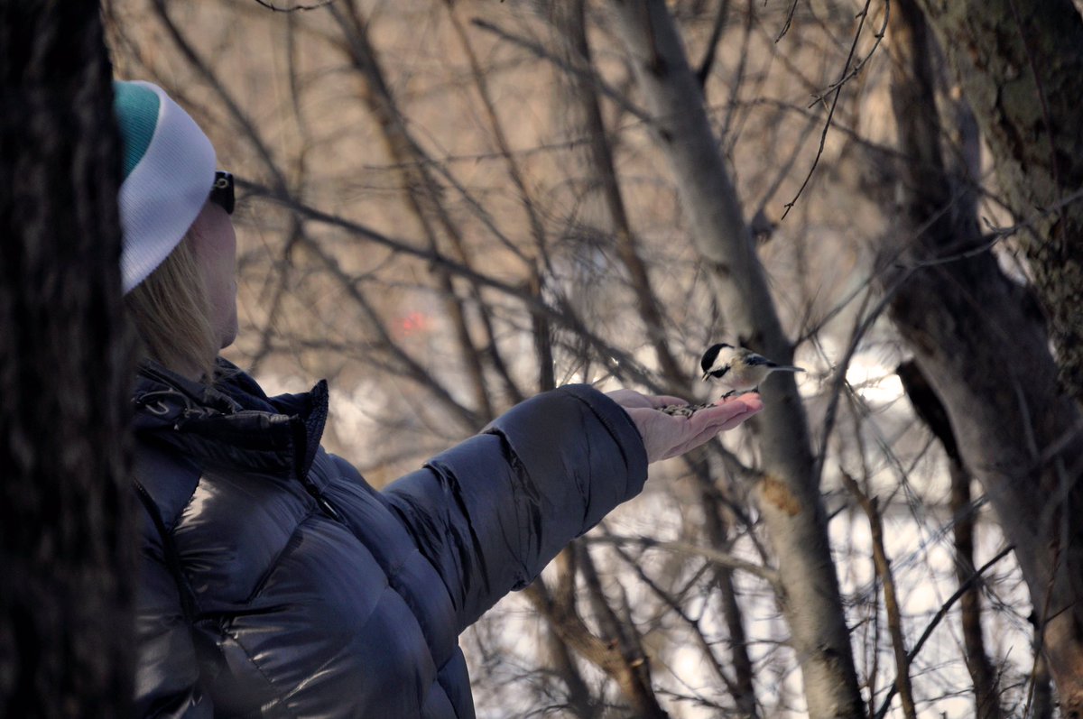 123Tink's tweet photo. Thank you @adventuresinpic for capturing the moments and @goodbirding for telling us where I could make this moment happen! #bucketlist #birding https://t.co/7BLTBop35P