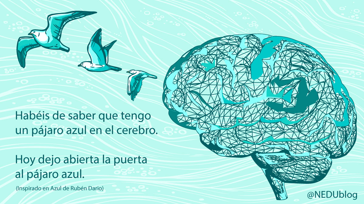 NEDUblog tweet media