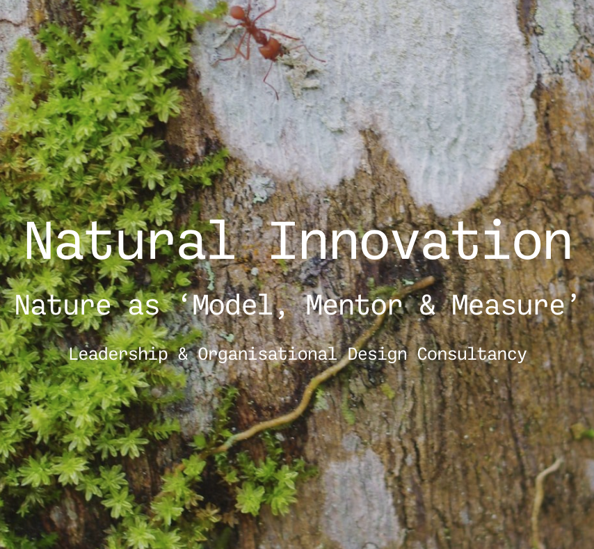 Can we help explore your business challenges using #Nature as inspiration?