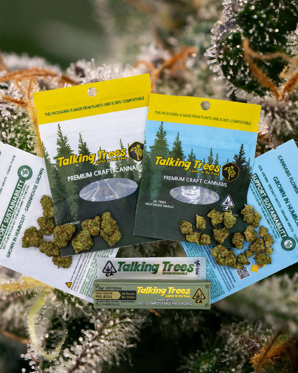 HallofFlowers_'s tweet image. #ListentotheTrees
hallofflowers.com/blog-archive-0…