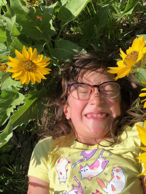 CommunityPfca's tweet image. We got a little taste of springtime recently. If you've got 🌼 🌻 🌸 on the mind, hit up our current fundraiser with Flower Power! Order online and delivered to your home, or anywhere in the Contiguous US!  flowerpowerfundraising.com/index.php/mark…