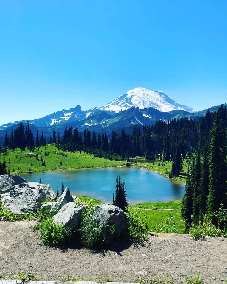 DiscoverRainier's tweet photo. #MORA #FindYourPark #Ourbackyardrocks #TipsooLake https://t.co/0VqNWosf4B