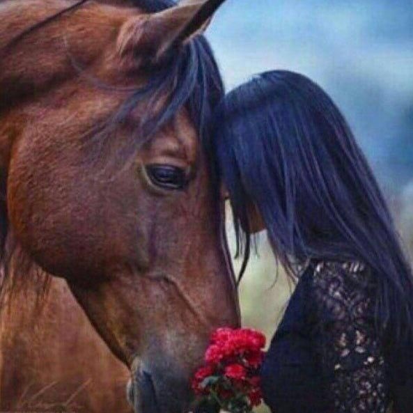 💞🐎نجلاء فتحى🐎💞 tweet media