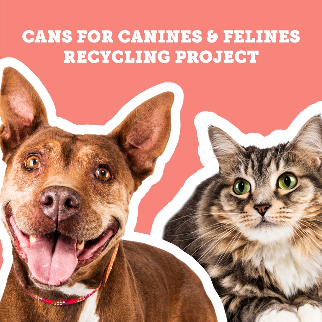 friendsofpacc's tweet photo. Did you know YOU can help save the environment and animals at the same time?! Click here, https://t.co/689YntigTK, to learn more about our recycling project.

#Recycle #PACCpets #PimaAnimalCareCenter #Tucson #Arizona #dogs #cats https://t.co/fo0HRYPiN1