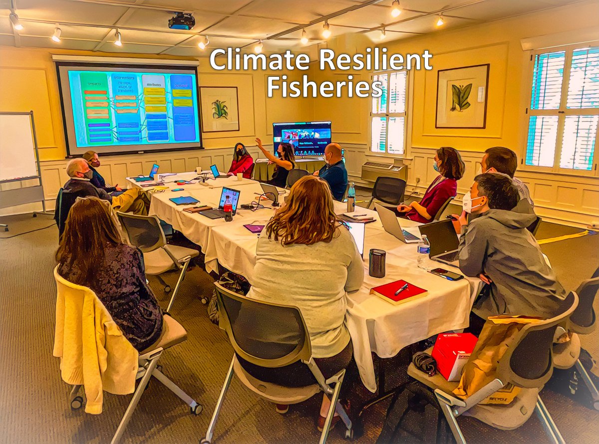 Mark Dickey-Collas π³οΈβπ (@dickeycollas) on Twitter photo Climate resilient fisheries - Great to be working again with the team led by <a href="/DrKathyMills/">Dr. Kathy Mills</a>, <a href="/KleisnerKristin/">Kristin Kleisner</a> & Pat Sullivan from #SSF to large catch vessels snappartnership.net/teams/climate-β¦ Climate resilient fisheries - Great to be working again with the team led by <a href="/DrKathyMills/">Dr. Kathy Mills</a>, <a href="/KleisnerKristin/">Kristin Kleisner</a> & Pat Sullivan from #SSF to large catch vessels snappartnership.net/teams/climate-β¦