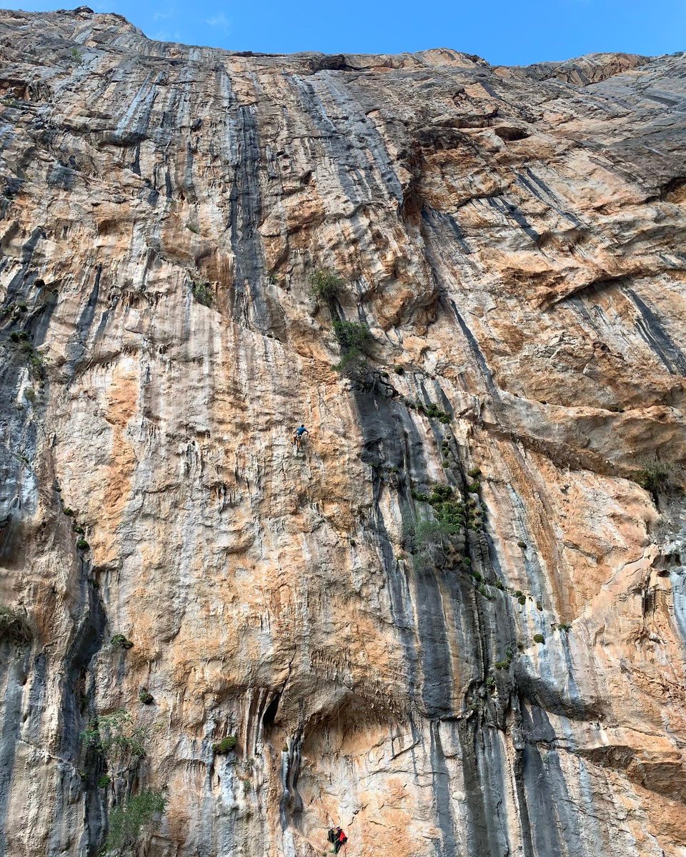 AlexHonnold's tweet photo. One of the highlights of climbing in Sardinia this fall was getting to climb the route Hotel Supramonte. It’s a 10 pitch 8b (so roughly 1,000ft 5.13d) up a beautiful wall. I tried it one day in warm, humid conditions and thought it felt impossible... https://t.co/103vnXzerT