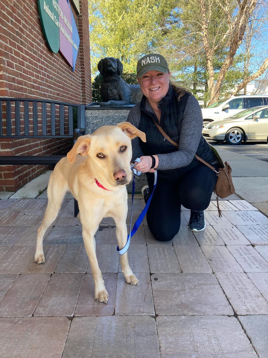 nashvillehumane's tweet photo. Here we with some more…
GOTCHA DAY PICS from this past weekend! Here’s another group of 4 happy adoptions to share from this past Saturday, February, 19th: https://t.co/5rhNCH7RAt